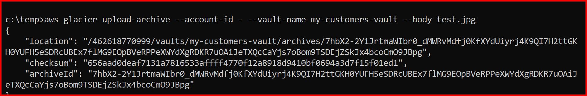 Picture showing the output of how to upload a file in the vault using CLI